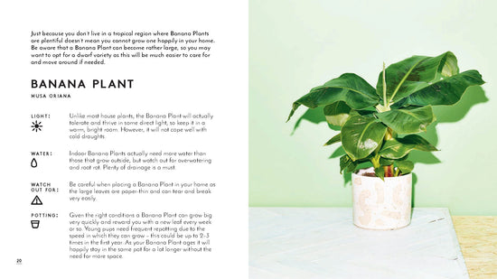 The Little Book Of House Plants