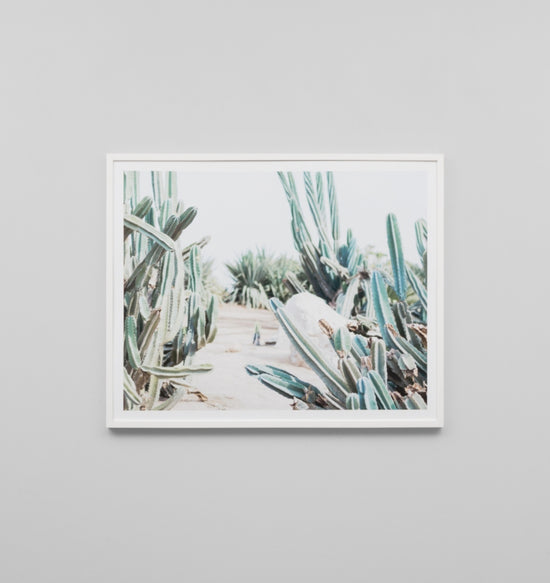 Framed Print- Cactus Path