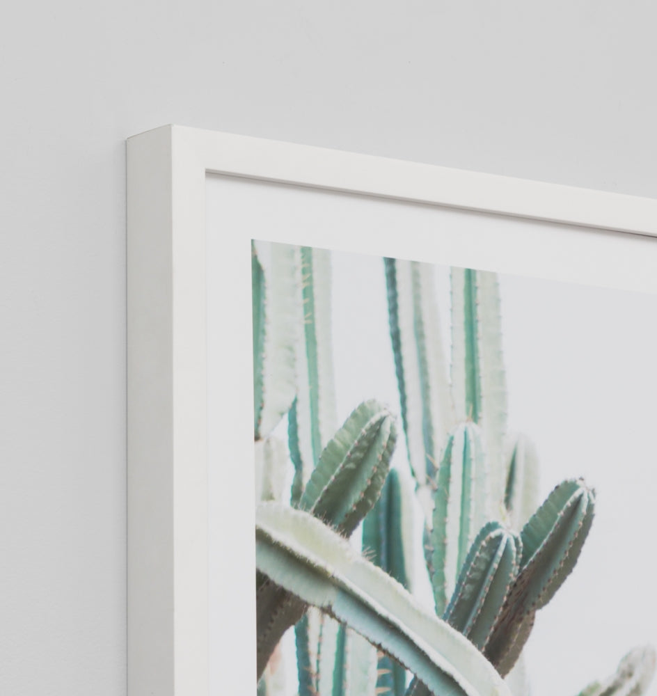 Framed Print- Cactus Path