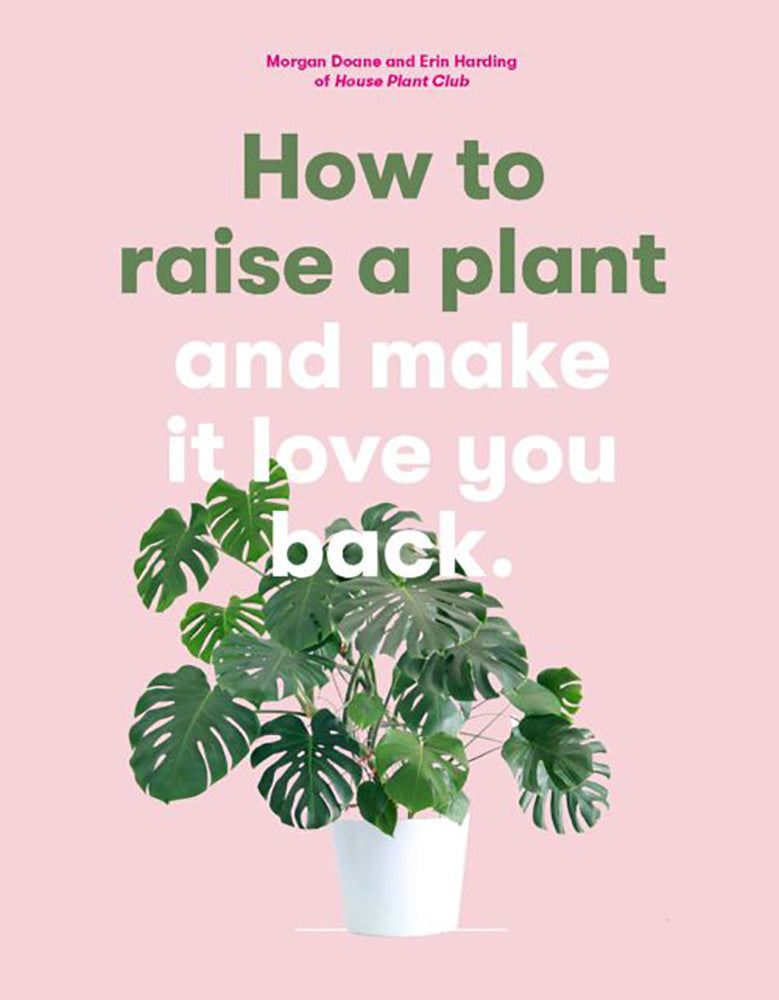 How to Raise a House Plant and Make it Love You Back.