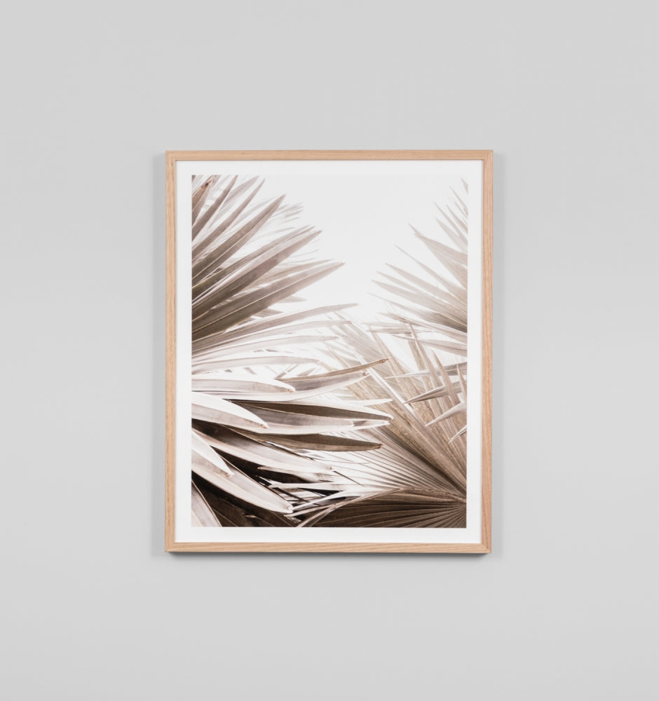 Framed Print - Natural Palm 1