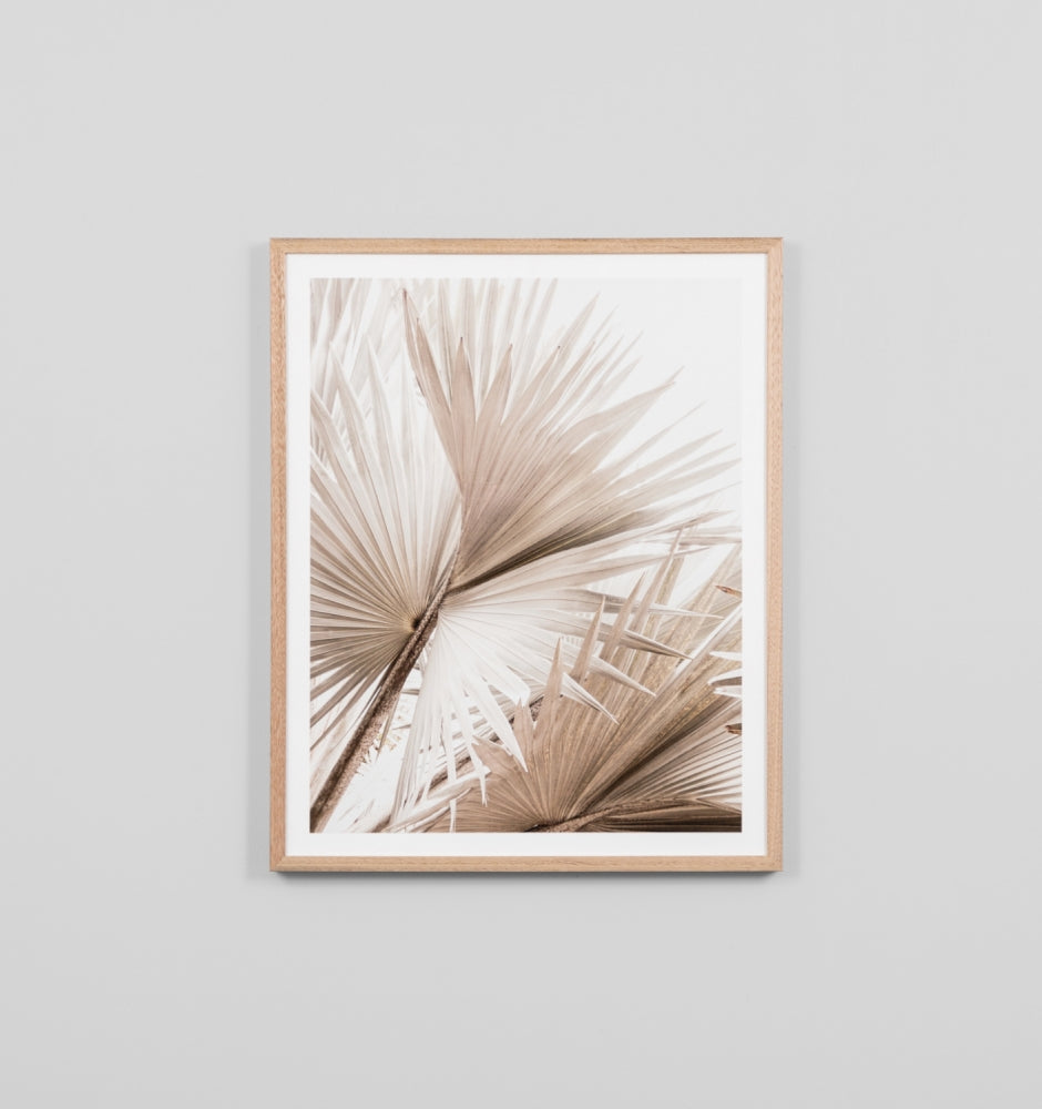 Framed Print - Natural Palm 2